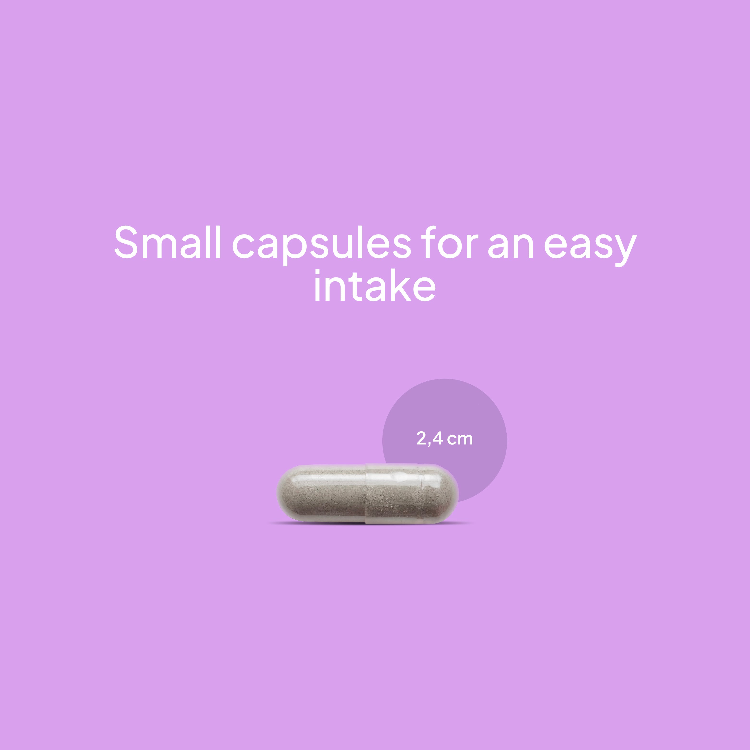 Ashwagandha KSM-66 + Magnésium, L-Théanine et Rhodiola - 60 gélules