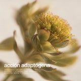 Ashwagandha For Her KSM-66 + Magnesio, L-Teanina & Rhodiola - 60 Caps