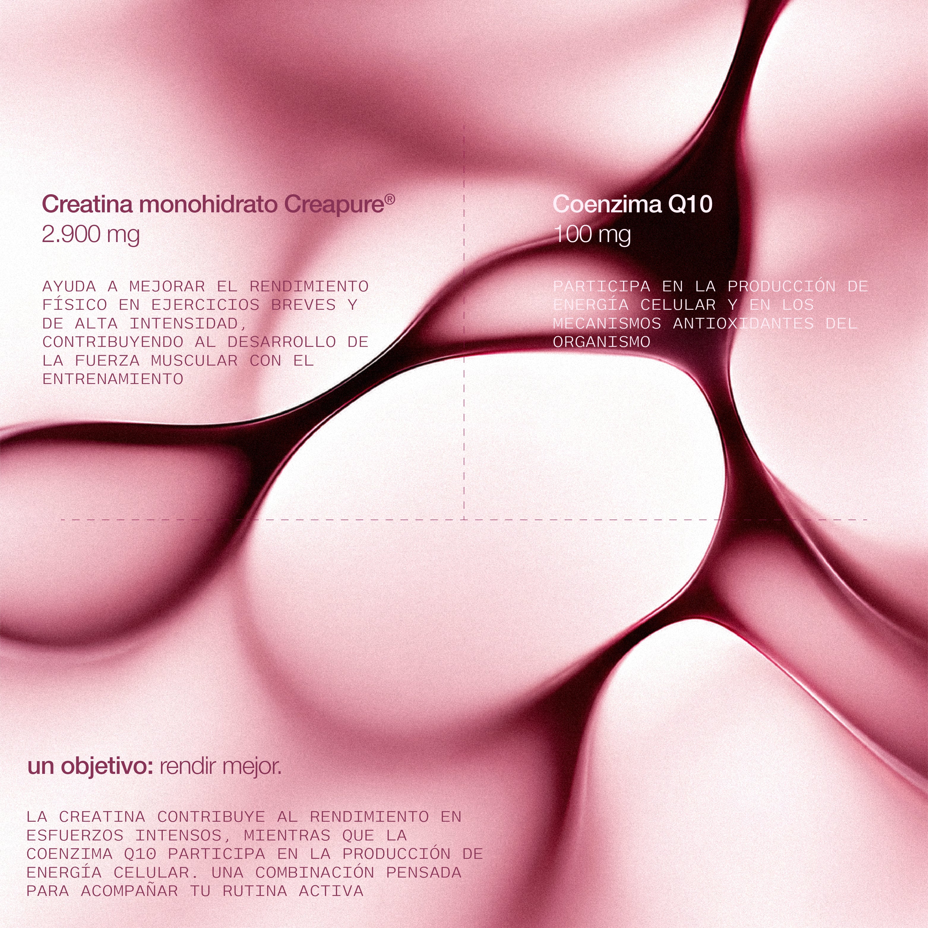 Creatina Monohidrato Creapure® + Coenzima Q10 - 300 g - Sandía