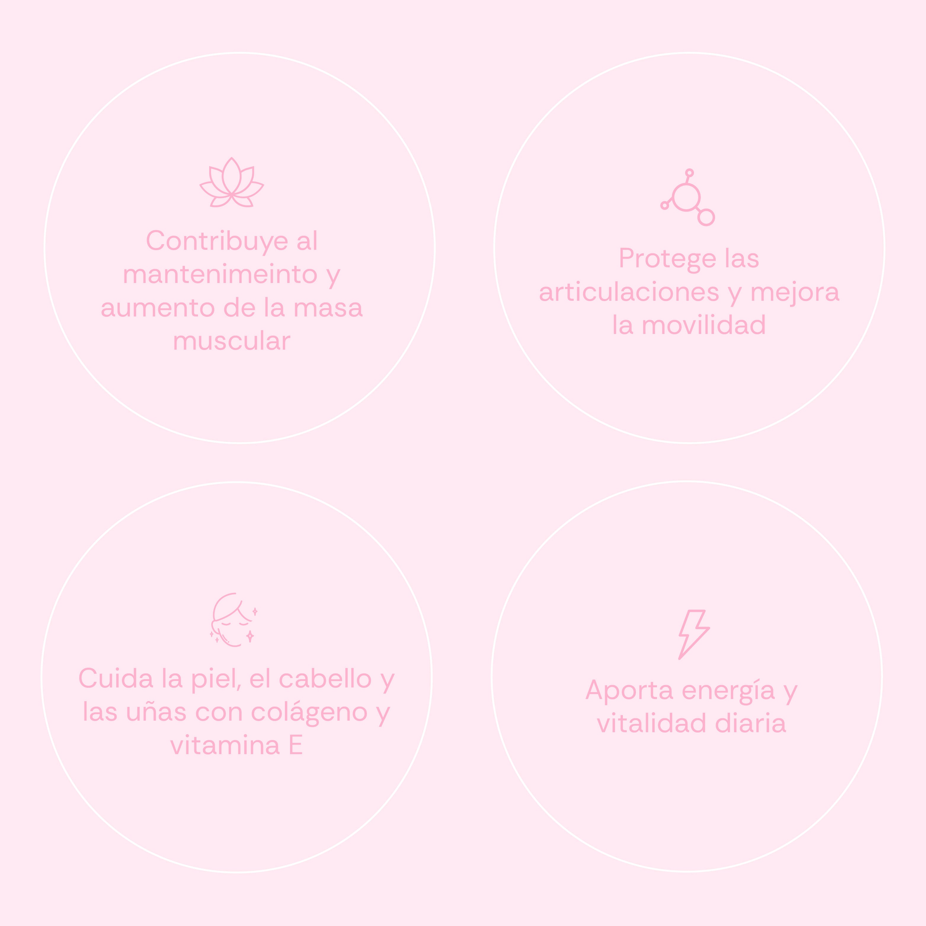 Women Protein Shake - 500 g - Strawberry White Chocolate