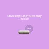Ashwagandha KSM-66 + Magnesium, L-Theanine &amp; Rhodiola - 60 Caps