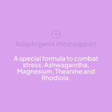 Ashwagandha KSM-66 + Magnesium, L-Theanine &amp; Rhodiola - 60 Caps