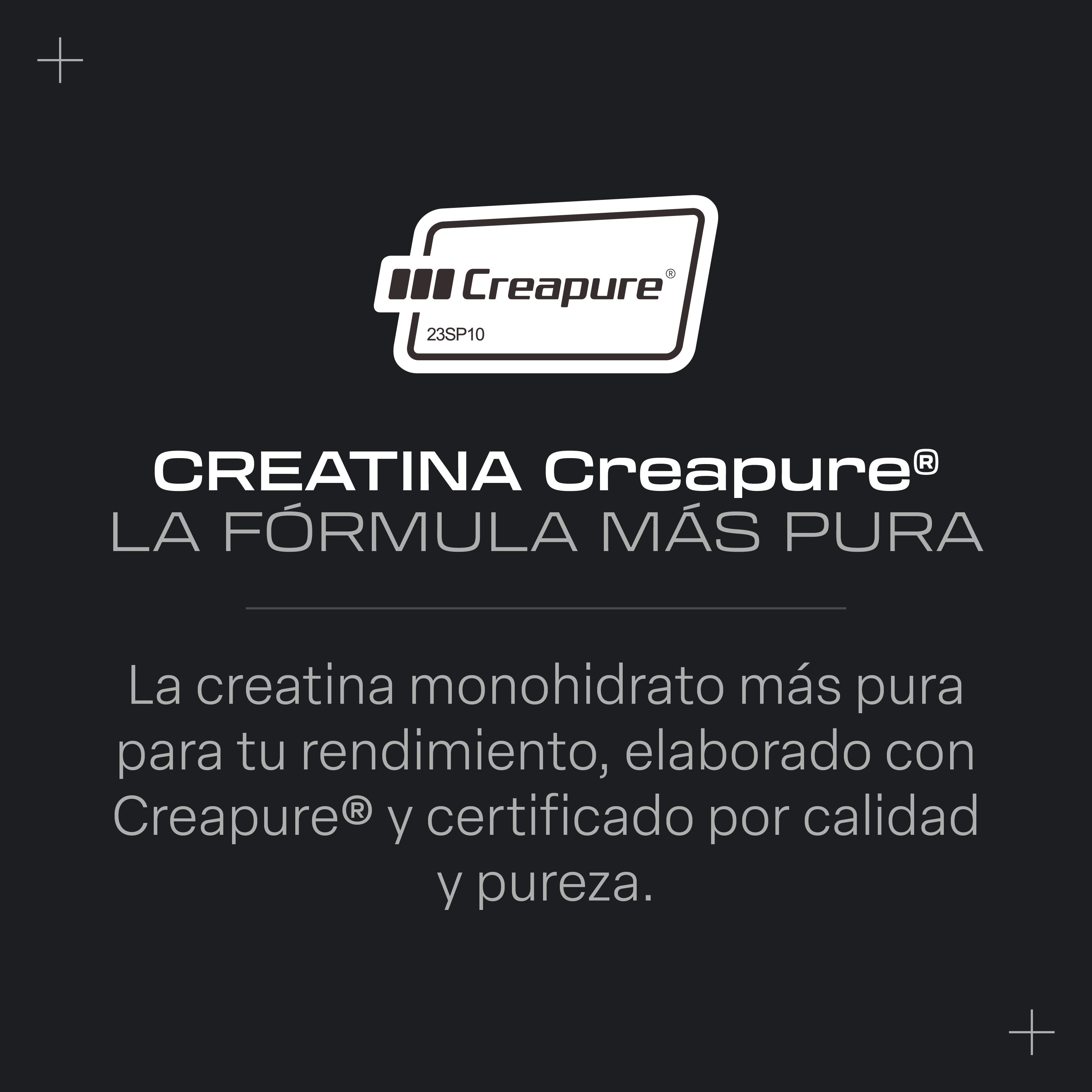 Creatine Monohydrate Creapure® - 300 g - Cherry