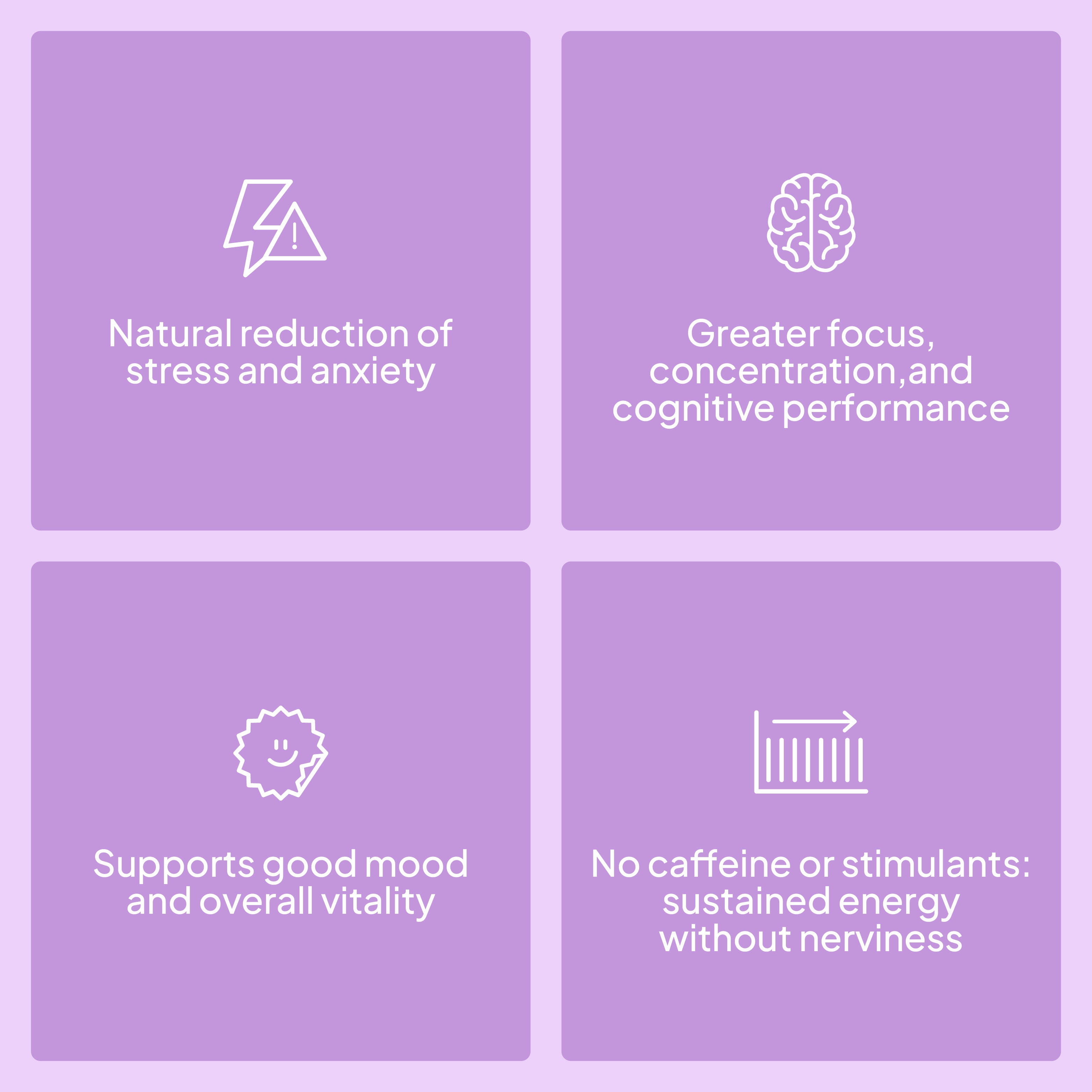 Ashwagandha KSM-66 + Magnesio, L-Teanina & Rhodiola - 60 Caps