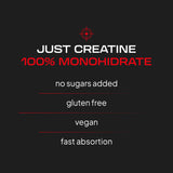 Creatina Monohidrato - 300 g - Unflavored