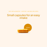 Curcumix - Fórmula antiinflamatoria - 90 Caps - 30 Servicios