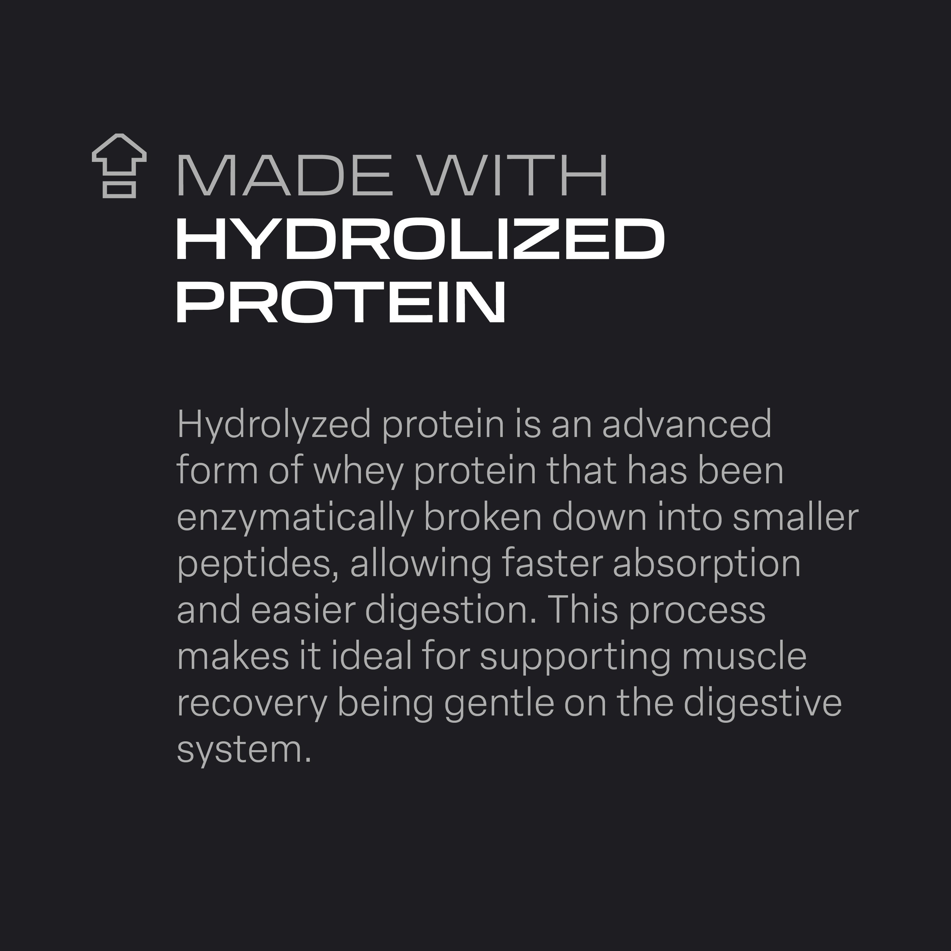 Hydro Protein Professionnel - 2 kg