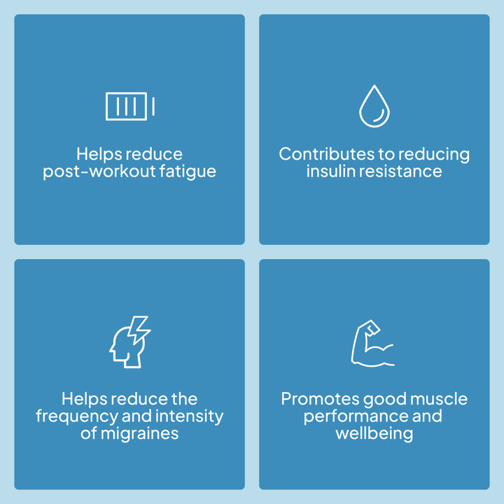 Bisglicinato de Magnesio + Vitamina B6 - 90 Cápsulas Beverly 4 EN beverly infografia magnesium bisglycinate 5