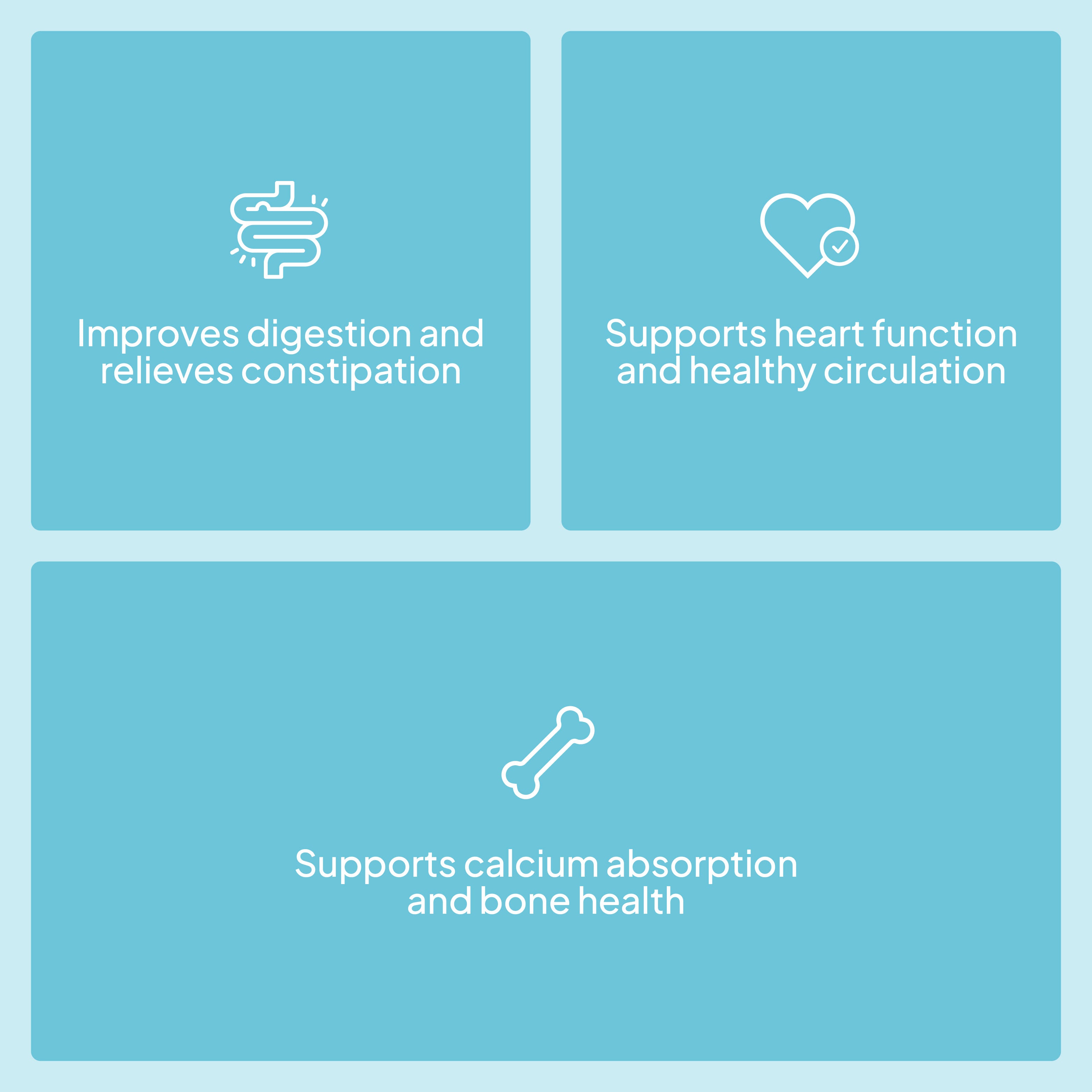 Magnesium Citrate - 60 Tabs - 30 Servicios