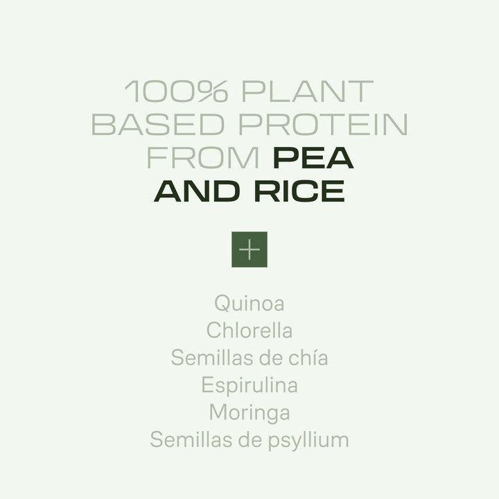 Vegan Protein - 900 g Beverly 4 EN beverly infografia vegan protein choco cookies 12