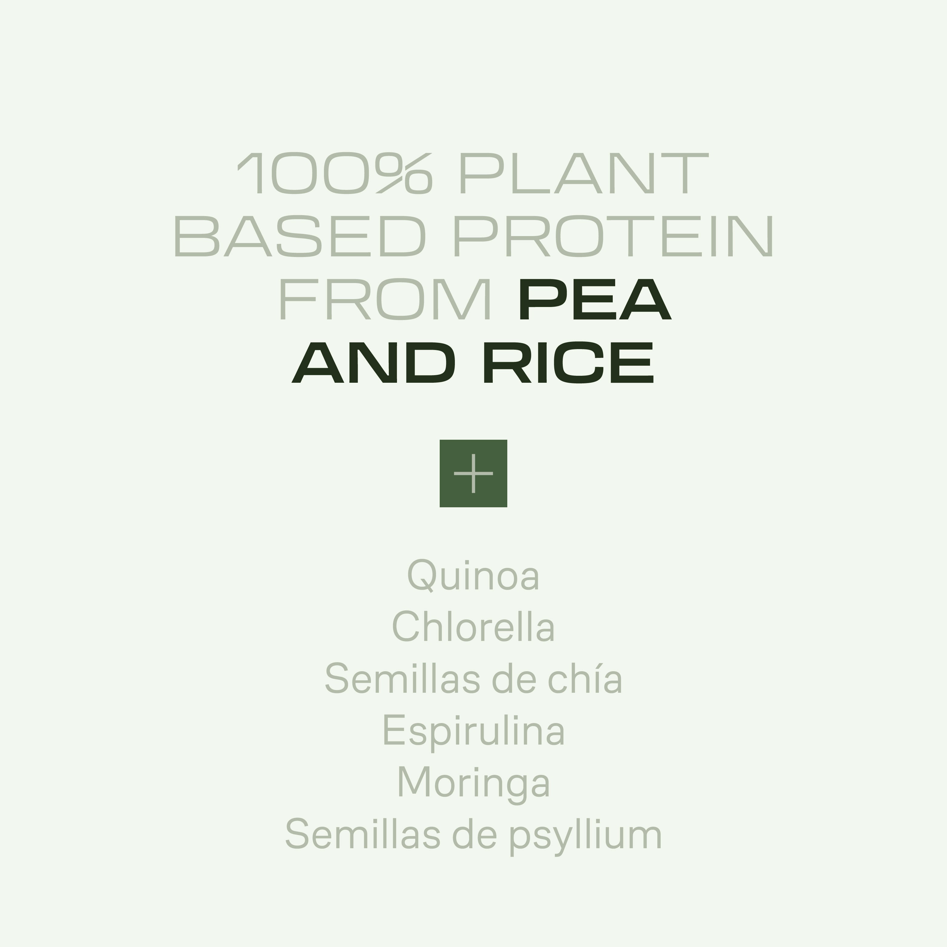 Vegan Protein - 900 g - Petit Beurre