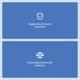 Zinc - 90 Caps - 90 Servicios