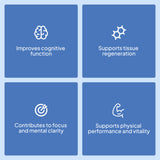 Zinc - 90 Caps - 90 Servicios