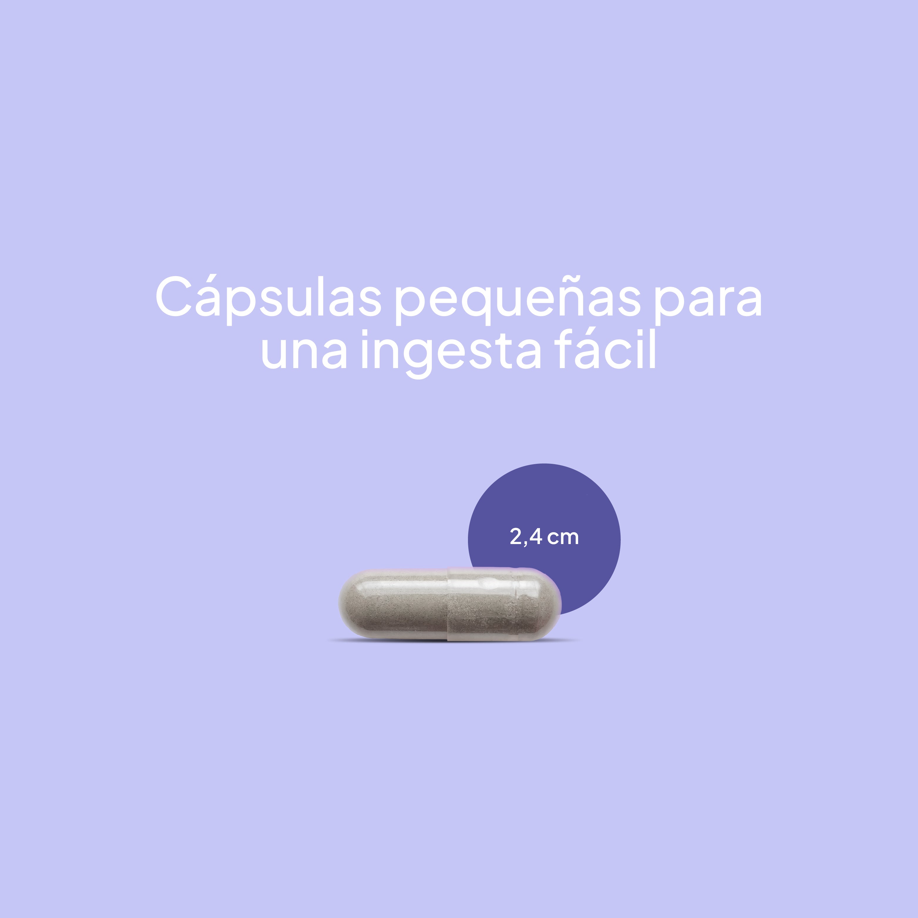 Sleep Balance - Pasiflora + Melatonina - 60 Caps - 30 Servicios