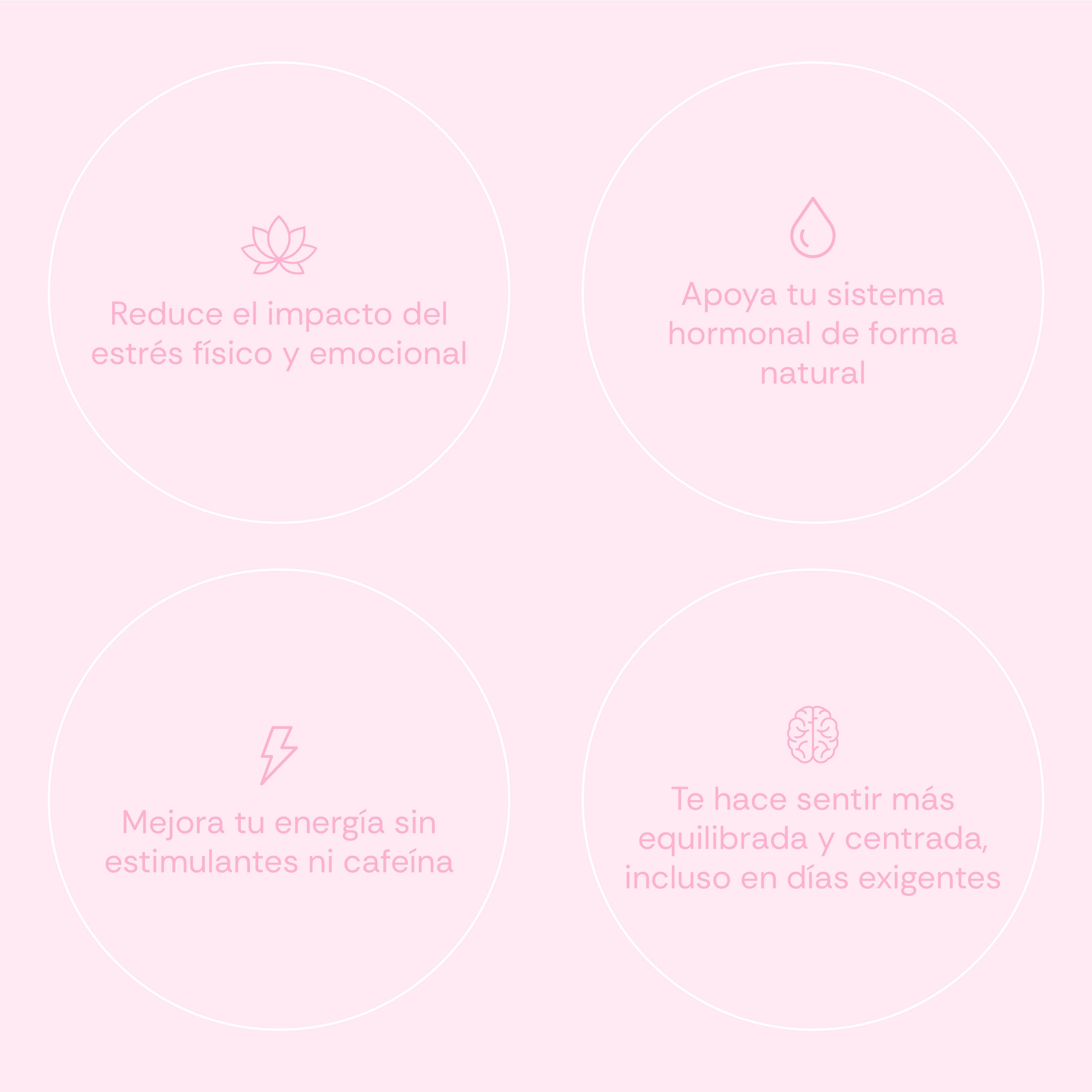 Ashwagandha For Her KSM-66 + Magnesio, L-Teanina & Rhodiola - 60 Caps