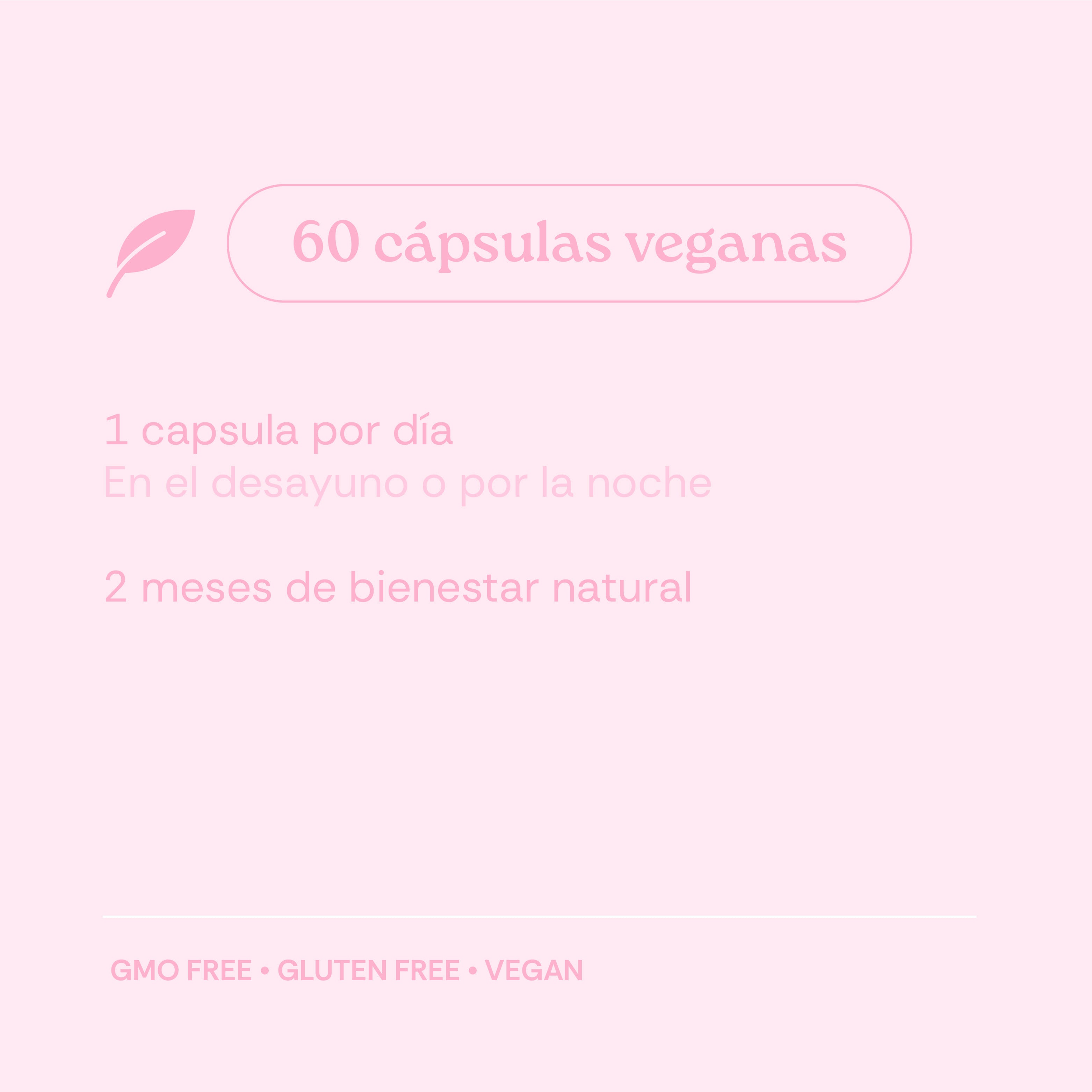 Ashwagandha For Her KSM-66 + Magnesio, L-Teanina & Rhodiola - 60 Caps