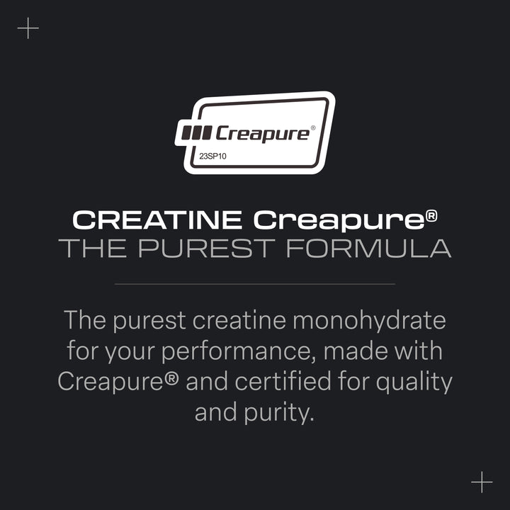 Creatina Monohidrato Creapure® - 300g Beverly 2 beverly infografia creatina creapure cherry 2