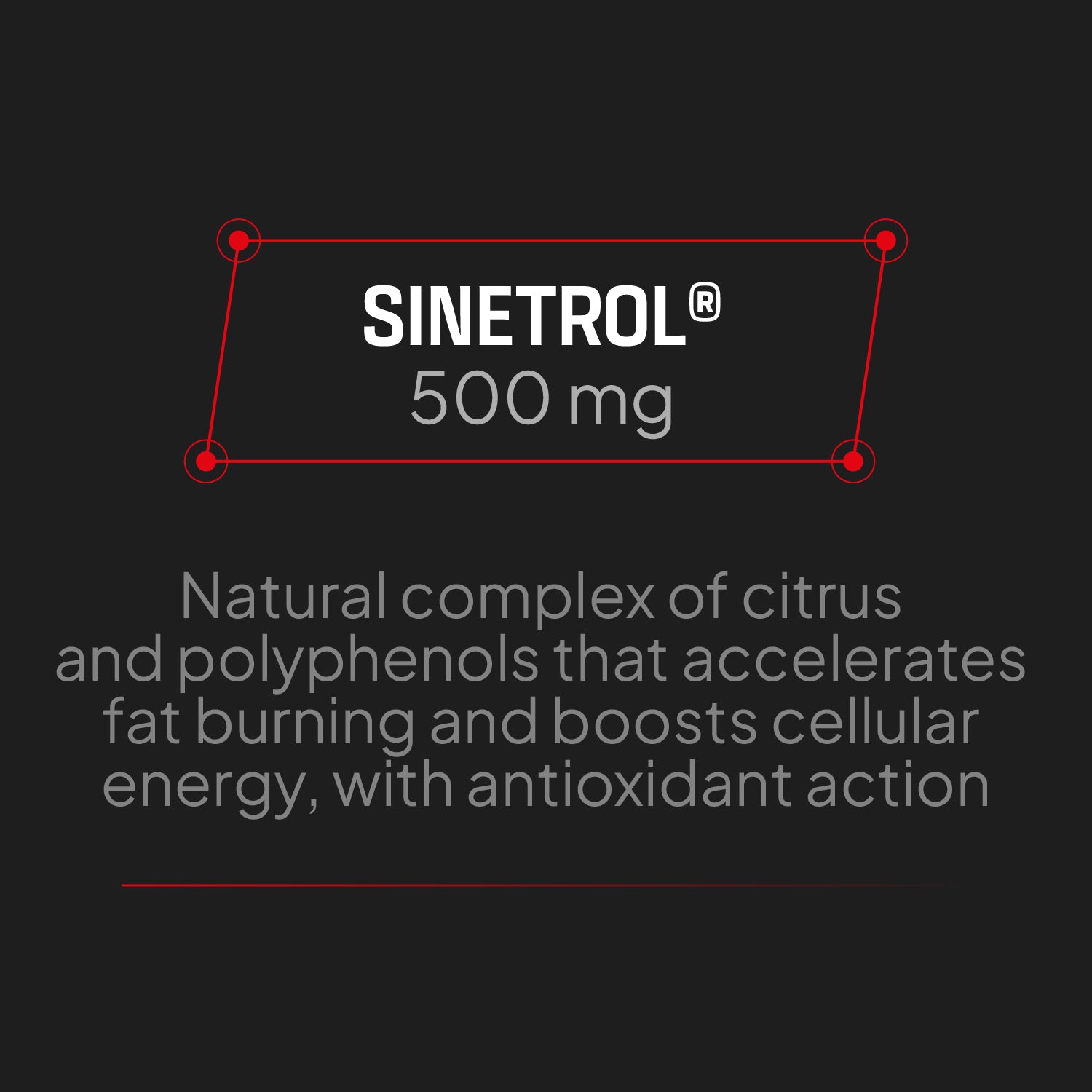 Burner Extreme - Fat Burner with Sinetrol® - 90 Caplets - 22 Servings